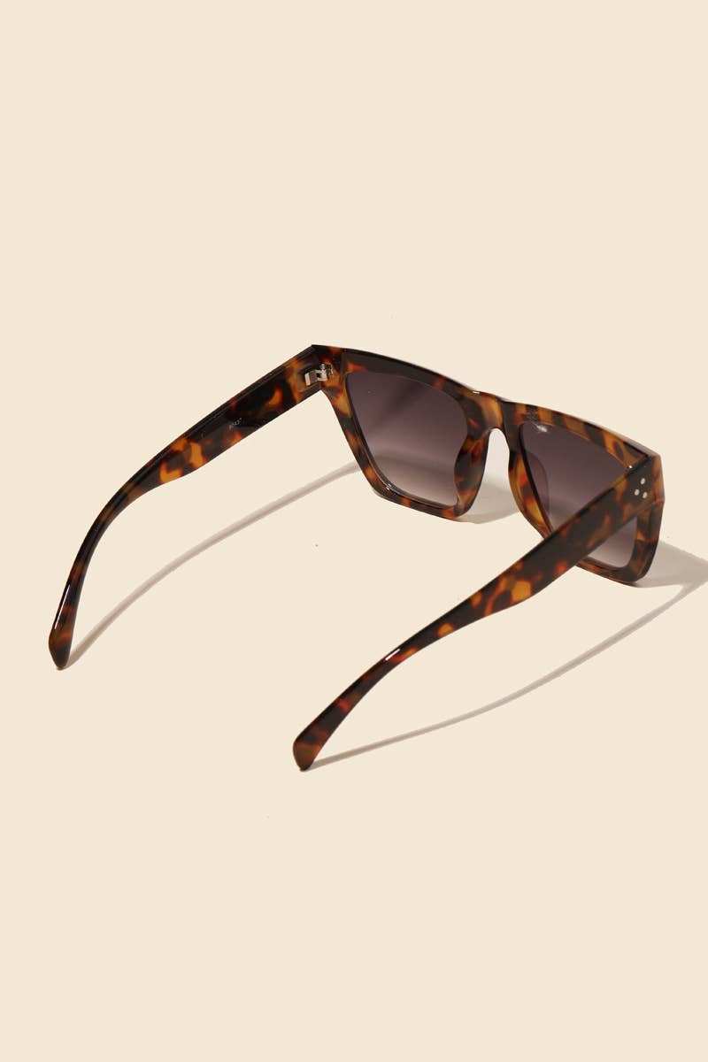 Acetate Frame Assorted Sunglasses